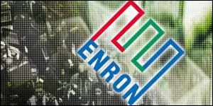 Openings in the Energy Market and the Emergence of Mixed Energy Suppliers